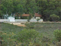 A green town - 206 Cooper Street