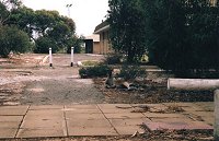 Kangaroo resting near the Community Club