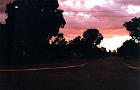 Sunset on Cooper Street (photo by Sasha)