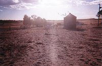 Morning on the farm (credit for the photo: Leo)