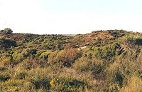 View from Rose Road