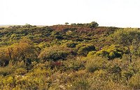 View from Rose Road