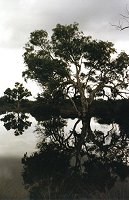 Winter floods