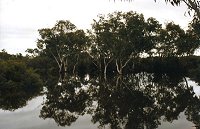 Winter floods
