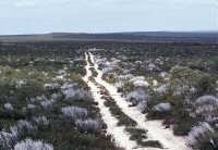 Quite good track, going along the natural gas pipeline