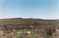 Alexander Morrison National Park, Halfway Mill - Coorow Road, ~35 km south-east of Eneabba