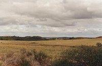 15 km east of Coorow