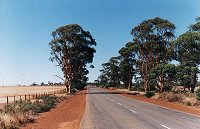 Carnamah-Coorow Road (Midlands Way), 15 km south of Carnamah