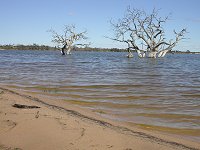 Lake Indoon - north shore