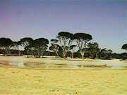 Lake Logue - flood plains near the north shore