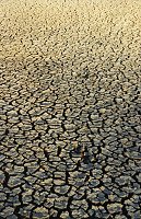 Dry Lake Logue - summer