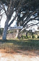 1999 flood level