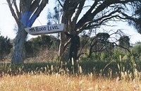 1999 flood level