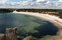 Dynamite Bay, Greenhead