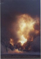 Bush fire front (thx S.Tracey for the pic)