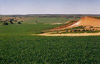 Second North Rd, ~10km north of Eneabba, looking east