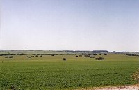 Beekeepers Road West