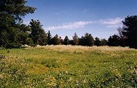 Three Springs Road, 6 km north-east