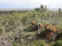 View of Eneabba plains