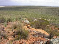 View of Eneabba plains from a 'breakaway'