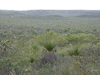 Eneabba landscape