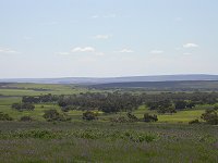 Eneabba farmland