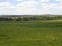 Eneabba farmland