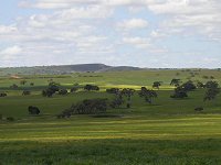 Eneabba farmland