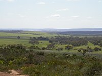 Eneabba landscape