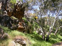 To the south of the Stockyard Gully Cave upstream entrance