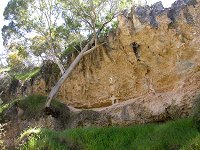 To the south of the Stockyard Gully Cave upstream entrance