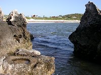 Dynamite Bay, Greenhead