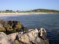 Dynamite Bay, Greenhead