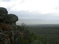 Eneabba landscape
