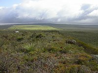 Eneabba landscape