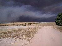 14 December 2004