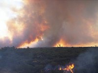 14 December 2004