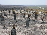20 December 2004