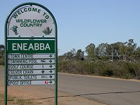 a new sign