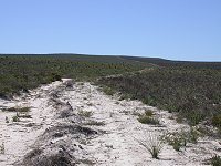 Eneabba landscape