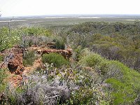 View of Eneabba plains from a 'breakaway'