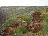 A view of the lookout from the plain