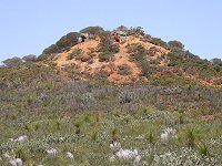 Eneabba landscape