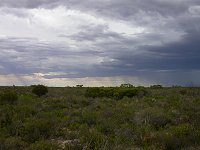 Beekeepers Road West