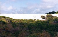 White sand dunes, 6 km south-east of Port Denison