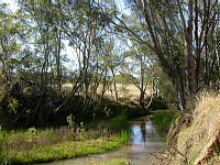 Irwin River, 7 km south-east of Dongara