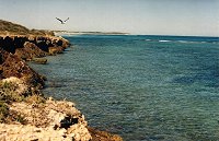 Coast near the lookout
