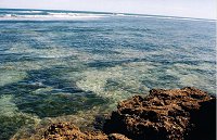 Coast near the lookout