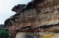 Fossilised seaworm burrows