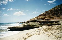 Kalbarri coastal gorges - sea gull